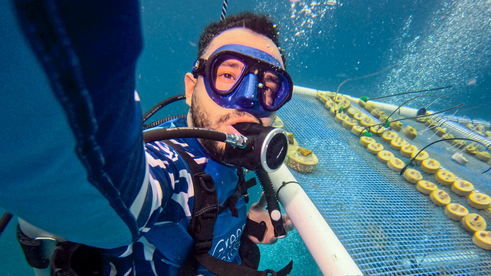 Cómo la siembra de corales puede ayudar a restaurar la salud de los océanos y a proteger las especies marinas