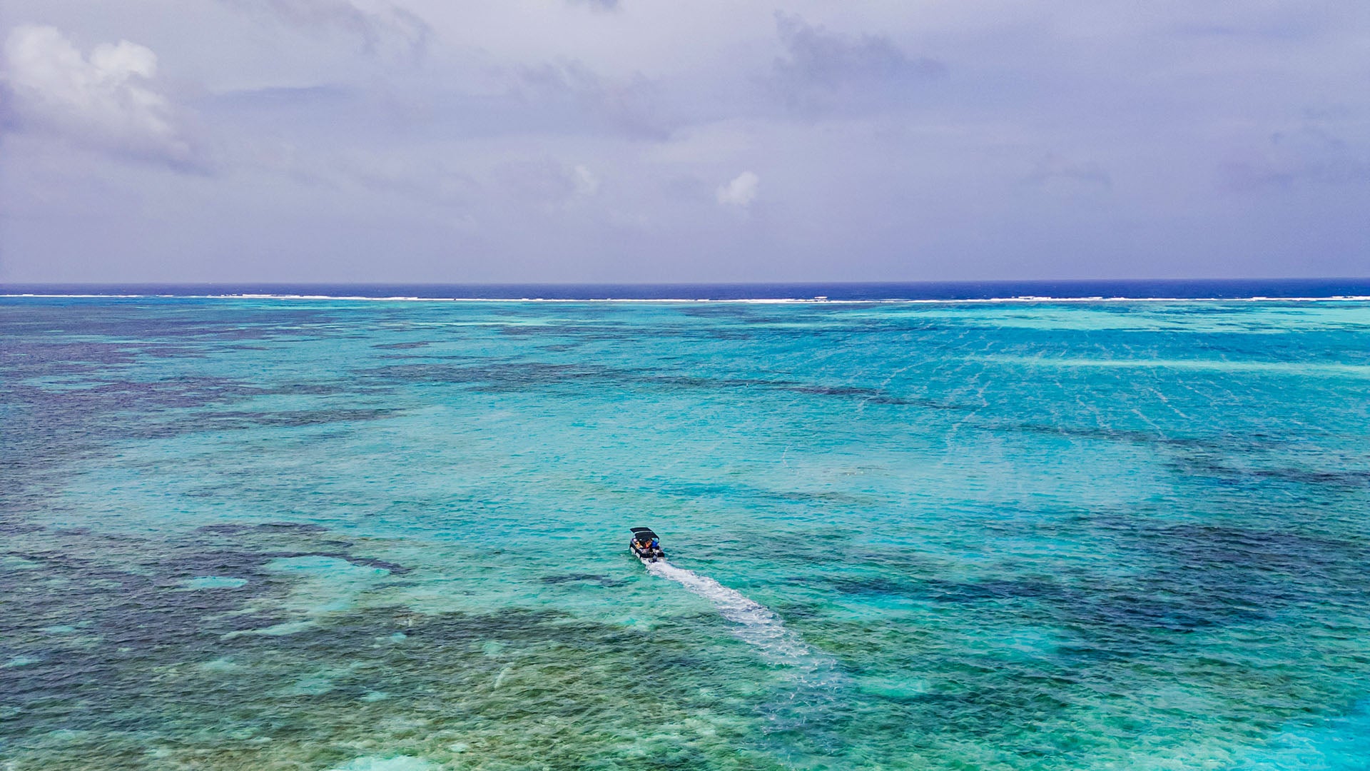 Convertimos causas ambientales y sociales en el mayor activo para tu marca