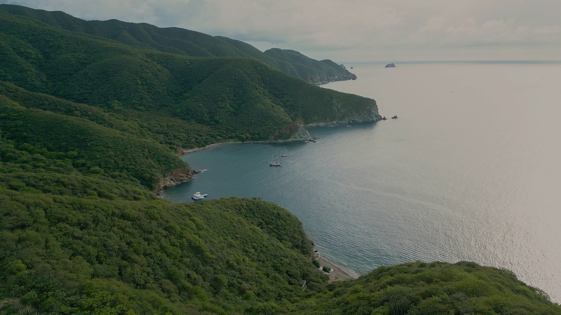 La primera y única "B" Corporation