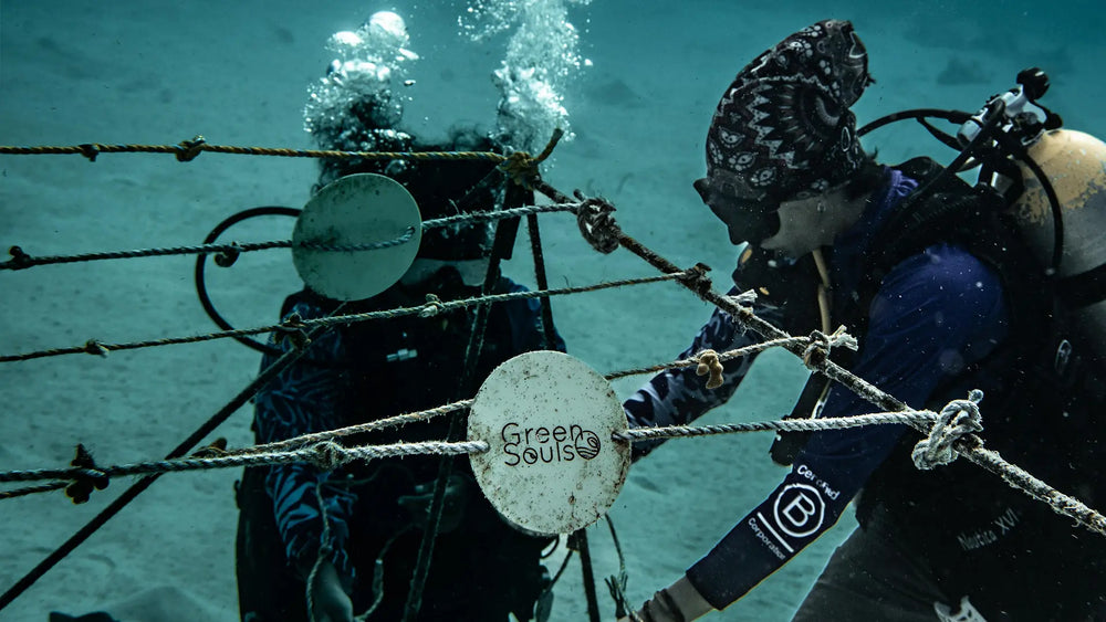 GUARDERÍAS DE CORAL