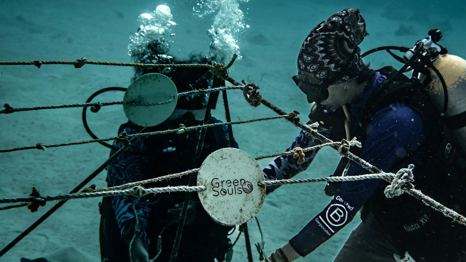 GUARDERÍAS DE CORAL